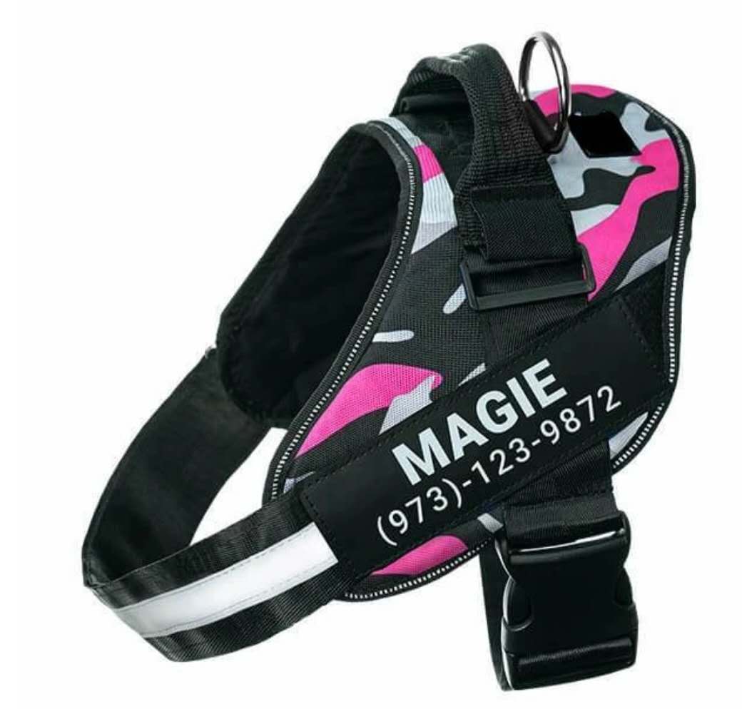 Personalized Reflective   Dog/ Cat Pet Harness