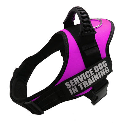Personalized Reflective   Dog/ Cat Pet Harness