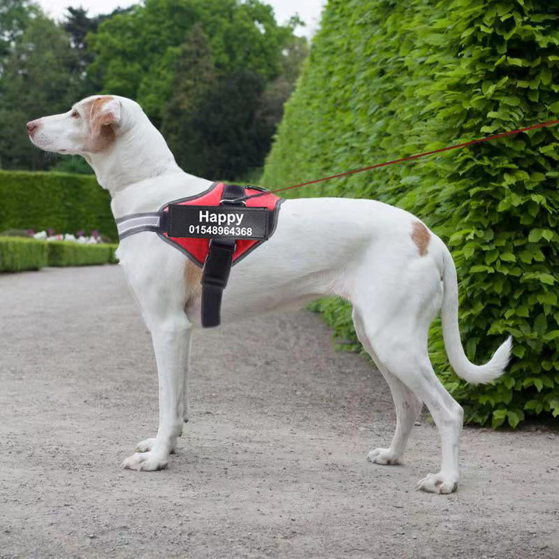 Personalized Reflective   Dog/ Cat Pet Harness