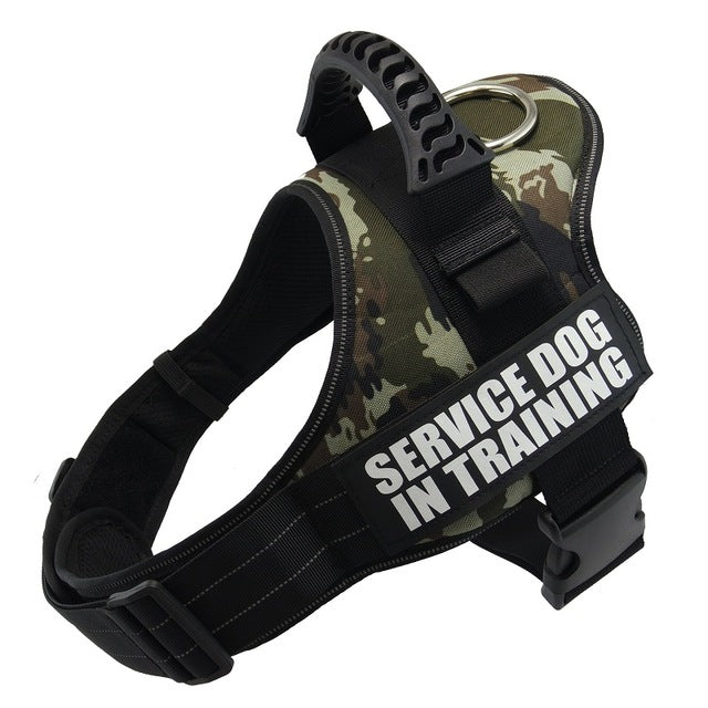Personalized Reflective   Dog/ Cat Pet Harness