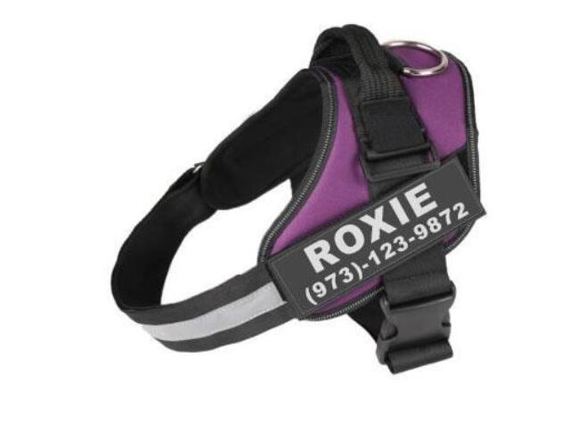 Personalized Reflective   Dog/ Cat Pet Harness