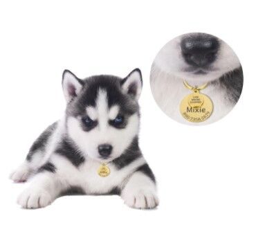 Engraved Pet Tag Pendant