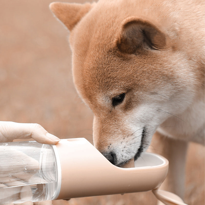 Portable Drinking Water Food Cups