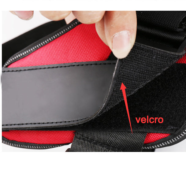 Personalized Reflective   Dog/ Cat Pet Harness
